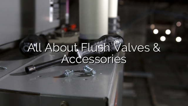 All About Flush Valves & Accessories