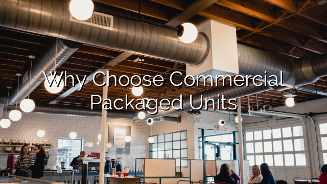 Why Choose Commercial Packaged Units