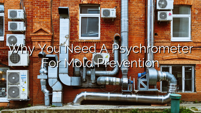 Why You Need a Psychrometer for Mold Prevention